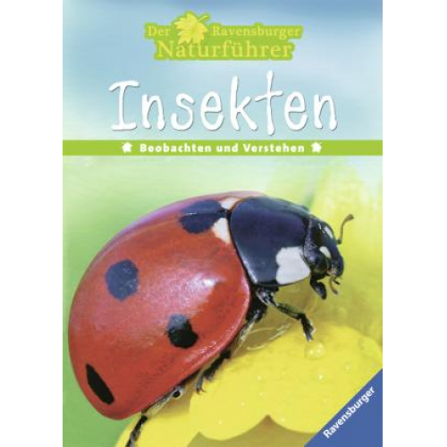 Insekten