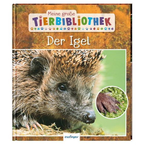 Valerie Tracqui - Meine große Tierbibliothek: Der Igel