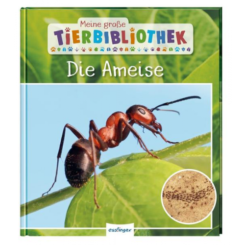 Axel Gutjahr - Meine große Tierbibliothek: Die Ameise
