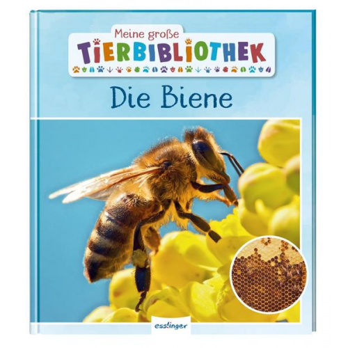 Paul Starosta - Meine große Tierbibliothek: Die Biene