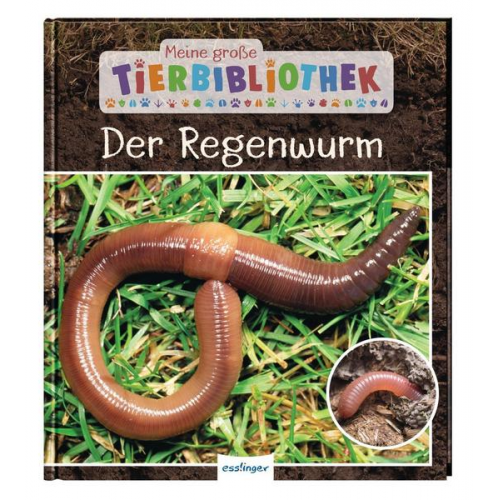 Valerie Tracqui - Meine große Tierbibliothek: Der Regenwurm