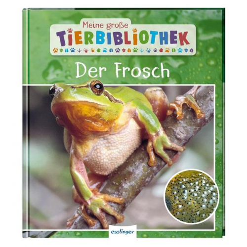 15635 - Meine große Tierbibliothek: Der Frosch
