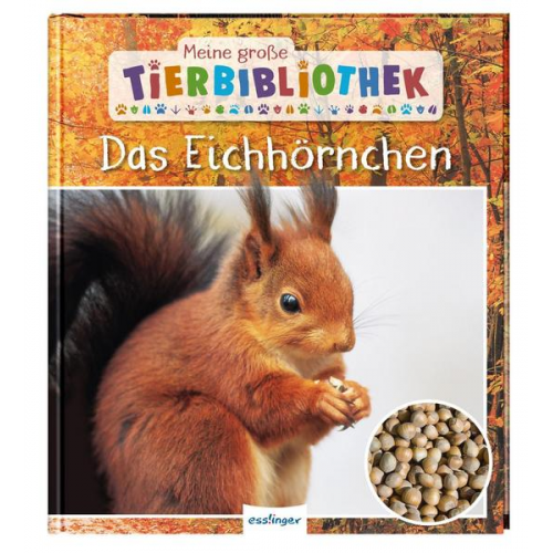 Stéphanie Ledu-Frattini - Meine große Tierbibliothek: Das Eichhörnchen