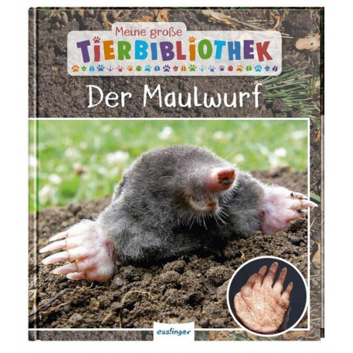 Jens Poschadel - Meine große Tierbibliothek: Der Maulwurf