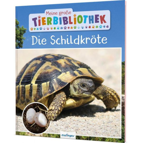Axel Gutjahr - Meine große Tierbibliothek: Die Schildkröte