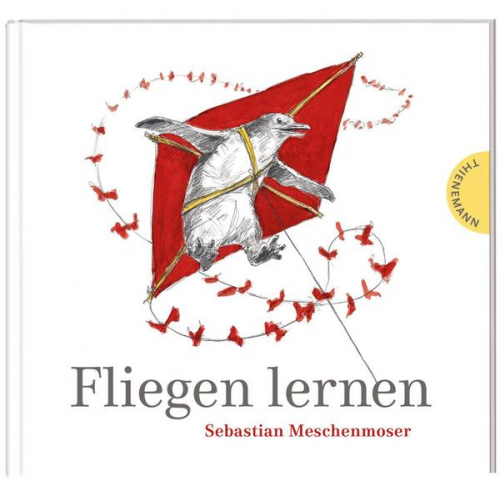 Sebastian Meschenmoser - Fliegen lernen