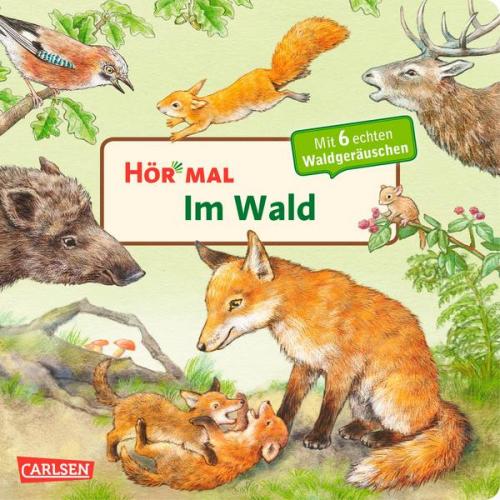 Anne Möller - Im Wald / Hör mal Band 9