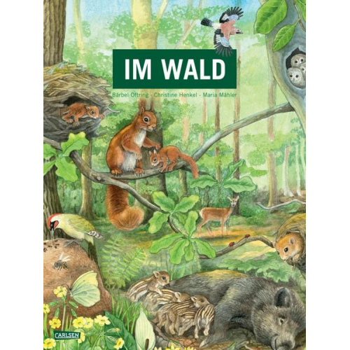Bärbel Oftring - Im Wald