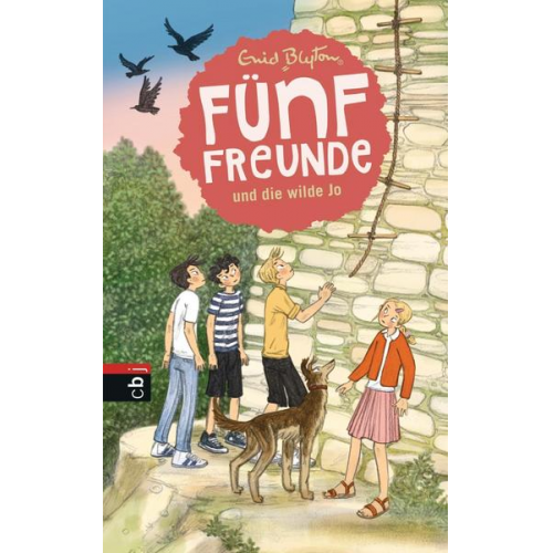 Enid Blyton - Fünf Freunde und die wilde Jo