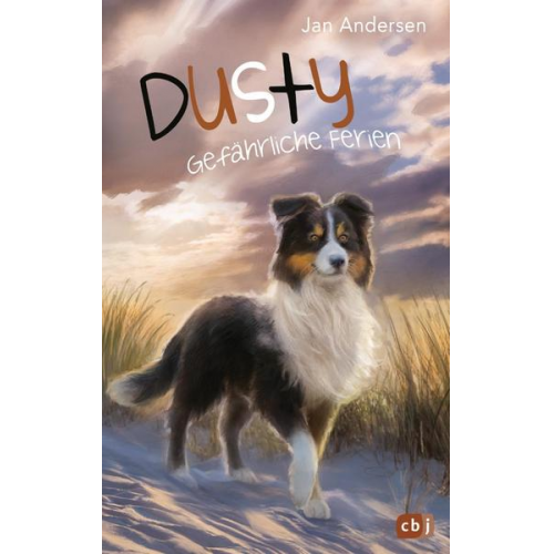 Jan Andersen - Dusty - Gefährliche Ferien
