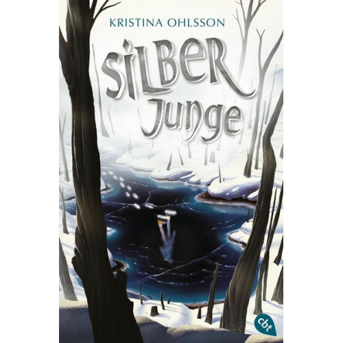 Kristina Ohlsson - Silberjunge