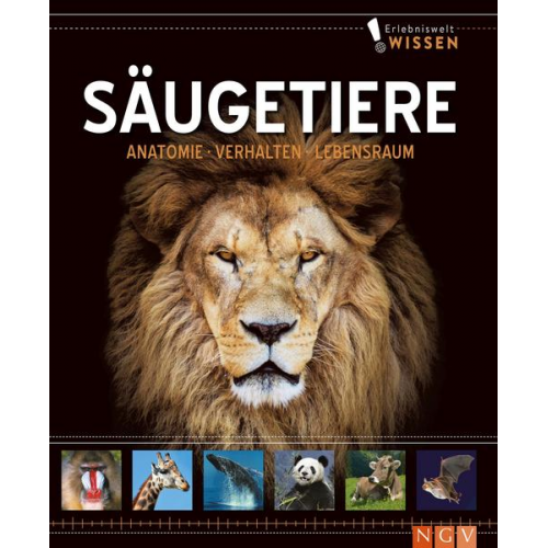 Erlebniswelt Wissen Säugetiere