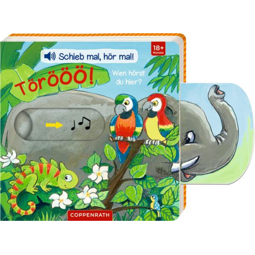 Antje Flad - Schieb mal, hör mal!: Törööö! Wen hörst du hier?
