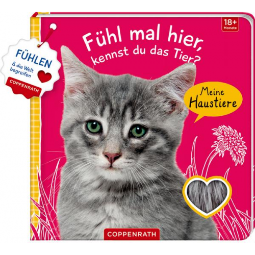 Fühl mal hier, kennst du das Tier? Meine Haustiere