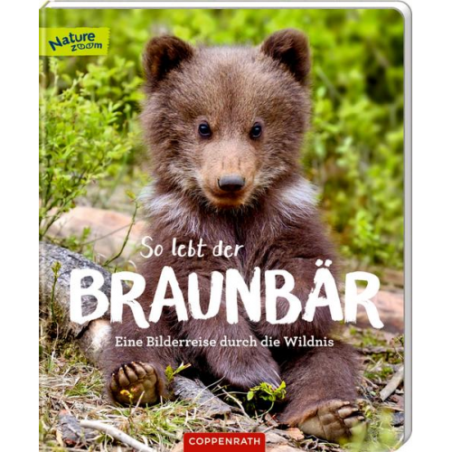 Sandra Noa - So lebt der Braunbär