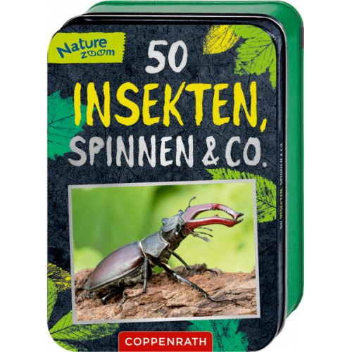 Holger Haag - 50 Insekten, Spinnen & Co.