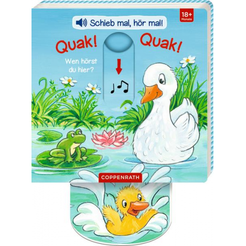 Antje Flad - Schieb mal, hör mal!: Quak! Quak! Wen hörst du hier?
