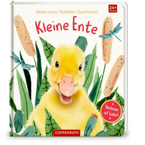 Amanda Wood - Meine erste Tierbaby-Geschichte: Kleine Ente