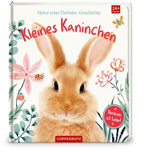 Amanda Wood - Meine erste Tierbaby-Geschichte: Kleines Kaninchen