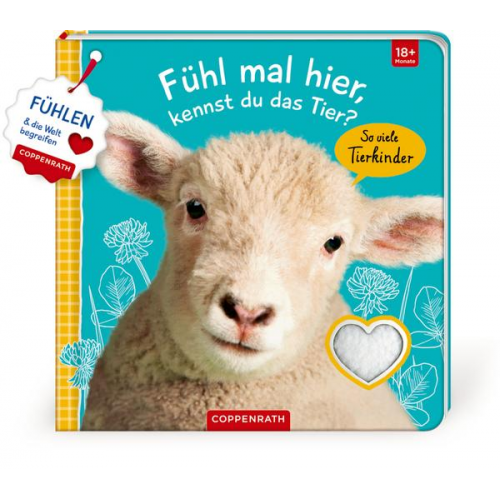 Fühl mal hier, kennst du das Tier? So viele Tierkinder