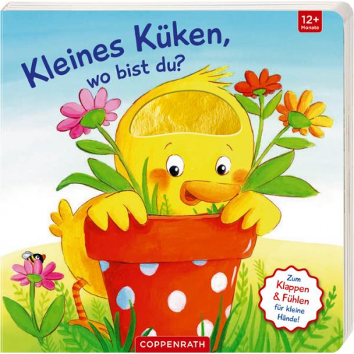 Sabine Kraushaar - Mein erstes Gucklock-Fühlbuch: Kleines Küken, wo bist du?