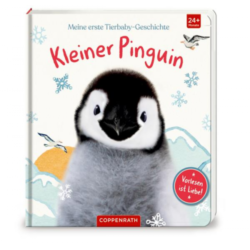Amanda Wood - Meine erste Tierbaby-Geschichte: Kleiner Pinguin