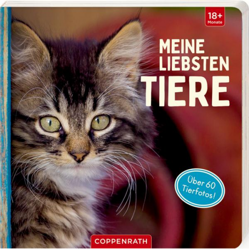 Meine liebsten Tiere