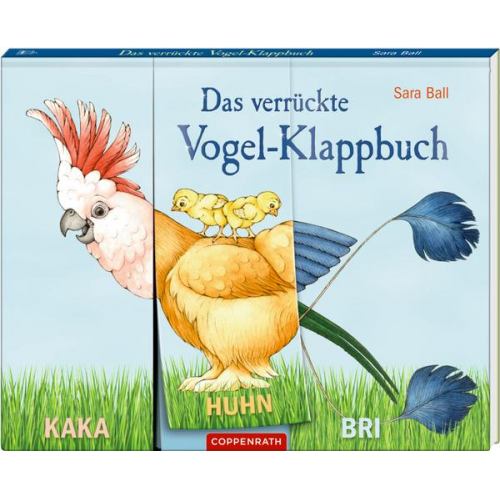 Das verrückte Vogel-Klappbuch