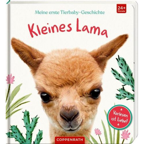Amanda Wood - Meine erste Tierbaby-Geschichte: Kleines Lama