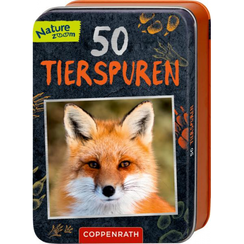 Barbara Wernsing - 50 Tierspuren