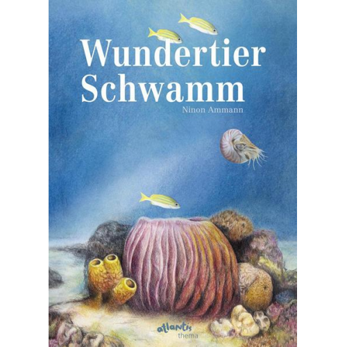 Ninon Ammann - Wundertier Schwamm
