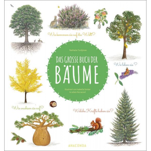 Nathalie Tordjman - Das große Buch der Bäume