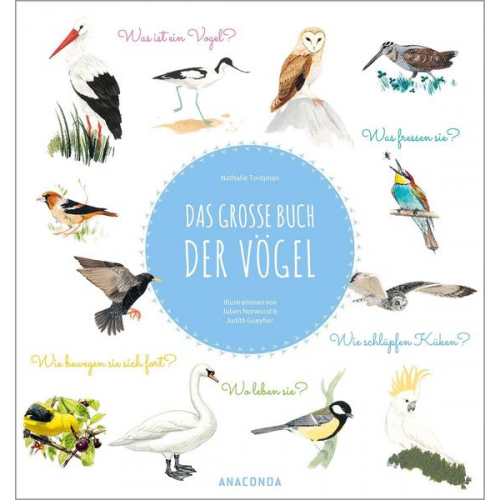 Nathalie Tordjman - Das große Buch der Vögel