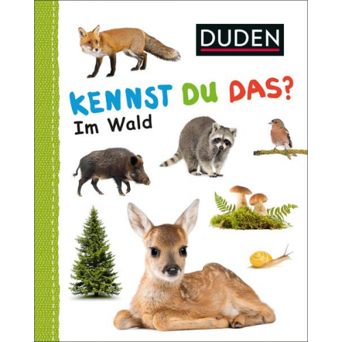 21480 - Duden 12+: Kennst du das? Im Wald