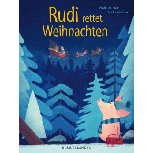 Mathilde Stein - Rudi rettet Weihnachten