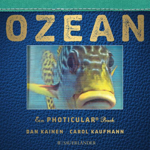 Dan Kainen Carol Kaufmann - Ozean