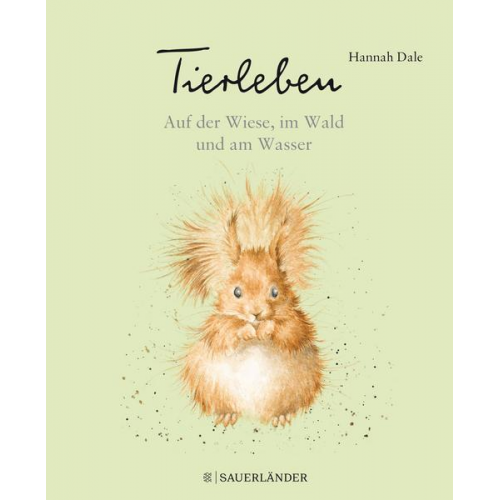 Hannah Dale - Tierleben – Auf der Wiese, im Wald und am Wasser