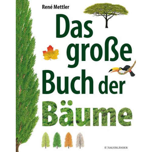 Rene Mettler - Das große Buch der Bäume
