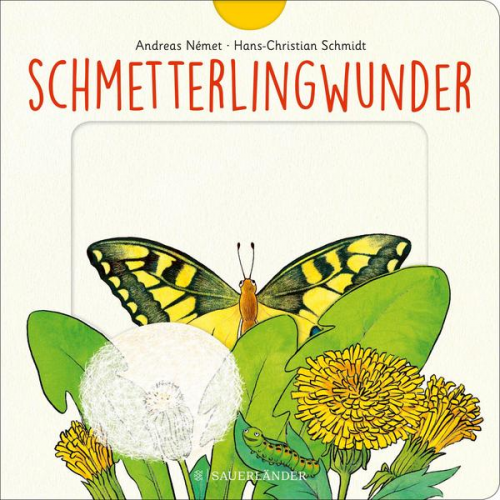 Hans-Christian Schmidt - Schmetterlingwunder