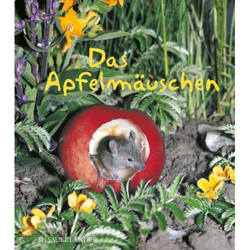 Mathilde Reich - Das Apfelmäuschen (Mini-Ausgabe)