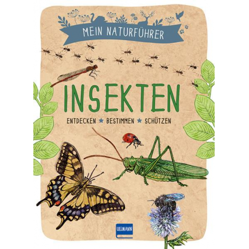 58460 - Mein Naturführer - Insekten