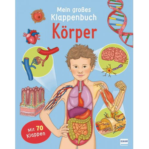 Eleonora Barsotti - Mein großes Klappenbuch - Körper