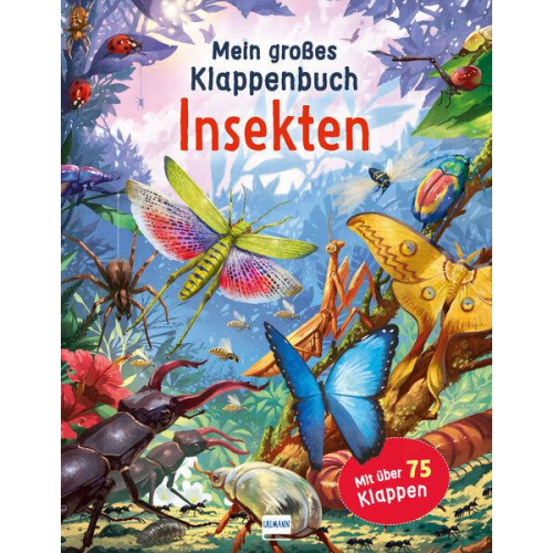 Rod Green - Mein großes Klappenbuch - Insekten