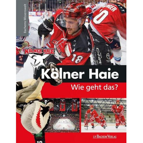 Peter Schönberger - Kölner Haie - Wie geht das?