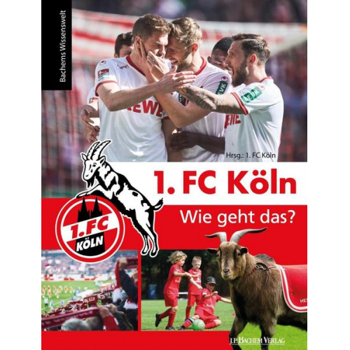 1. FC Köln – Wie geht das?