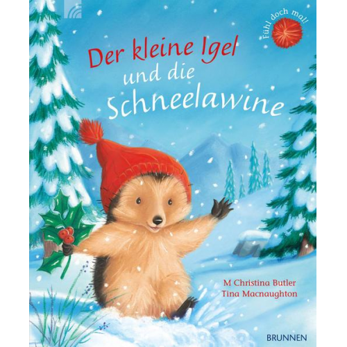 M. Christina Butler - Der kleine Igel und die Schneelawine