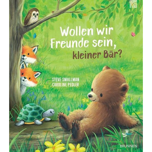 Steve Smallman - Wollen wir Freunde sein, kleiner Bär?