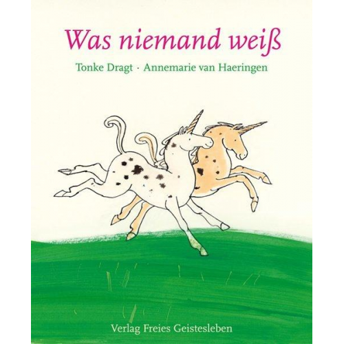 Tonke Dragt - Was niemand weiß