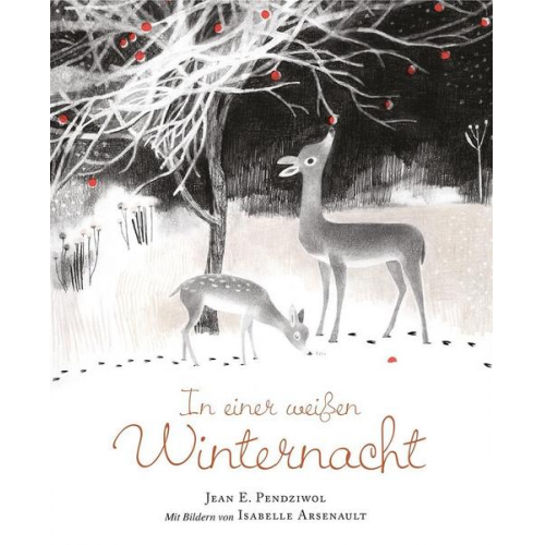 Jean E. Pendziwol - In einer weißen Winternacht