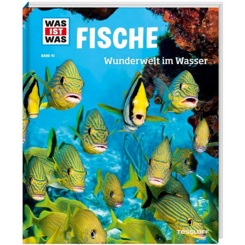 Nicolai Schirawski - WAS IST WAS Band 41 Fische. Wunderwelt im Wasser